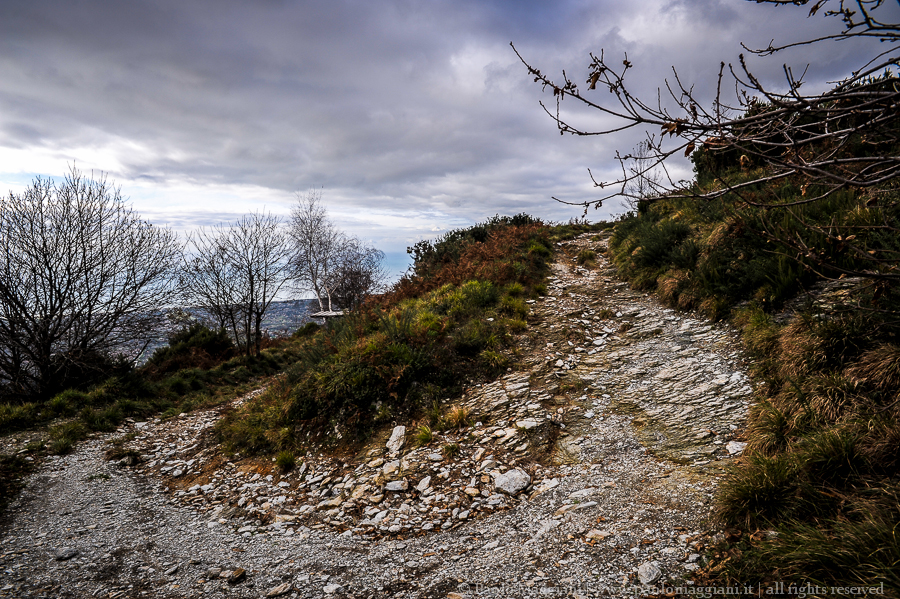 D700-14DSC_5287 - 06 dicembre 2014