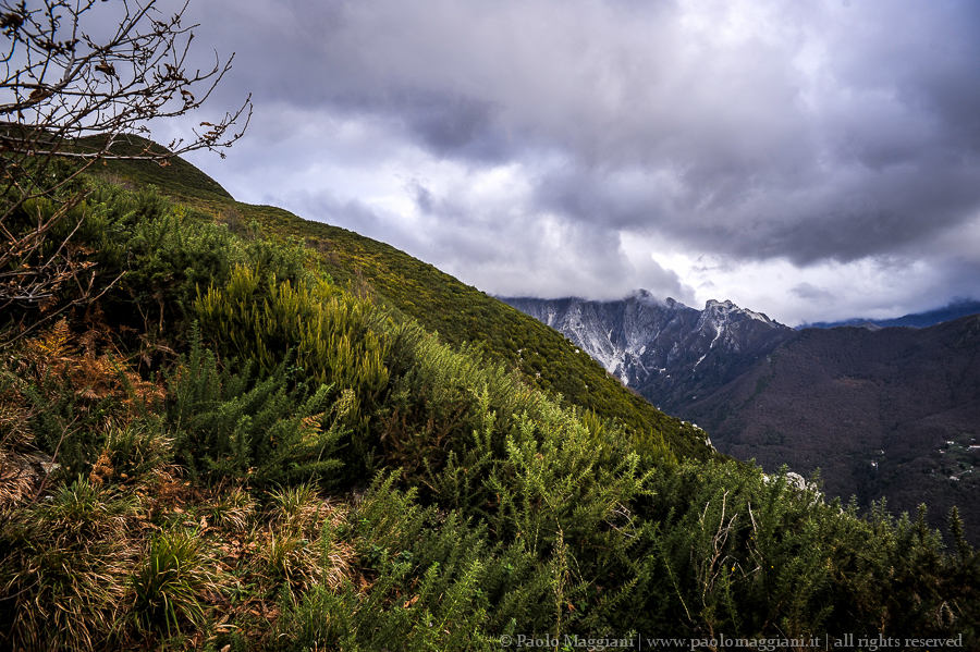 D700-14DSC_5288 - 06 dicembre 2014