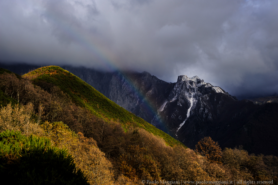 D700-14_DSC5325 - 06 dicembre 2014