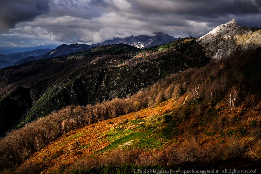 D700-14_DSC5341 - 06 dicembre 2014