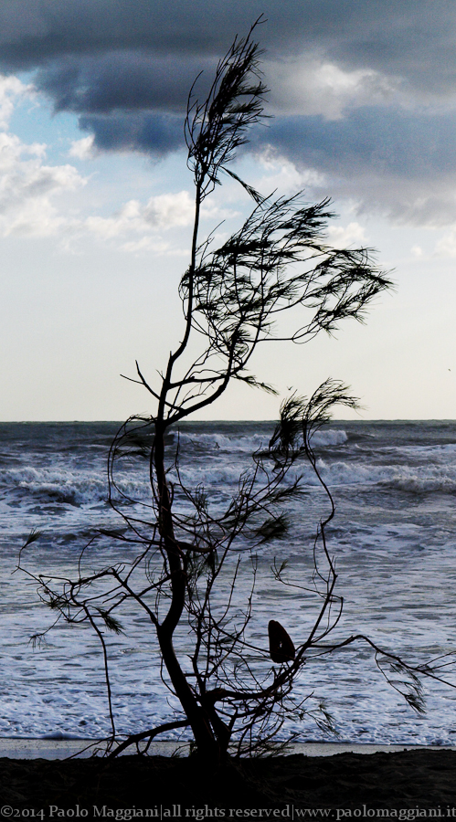 _3221463_R - 22 marzo 2008